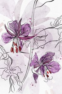 Paarse bloemen in aquarel