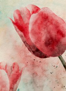 Levendige tulpen in aquarel door Ankie Kooi
