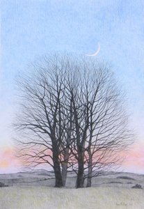 Nieuwe maan, 2011 door Anna Phillips