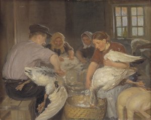 De ganzen plukken