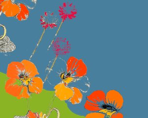 Oost-Indische Kers