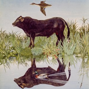 Reflecteren, 2004 (acryl)