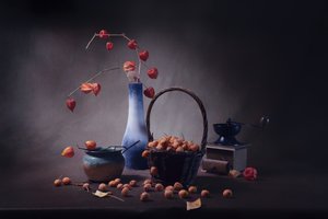  door Anna Qu