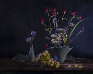  door Anna Qu