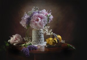  door Anna Qu