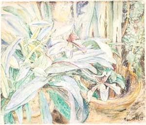 Orchideeën, Botanische Tuin, Pisa door Anna Syberg