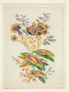 Fantastische bloemen, uit Nieuwe Suite van Notitieboekjes van Ideale Bloemen voor het Gebruik van Ontwerpers en Schilders
