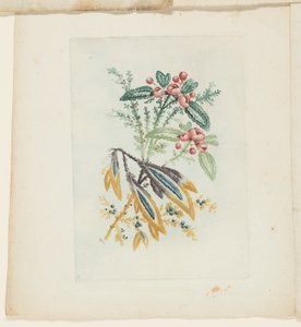 Plaat, uit Nieuwe suite van notitieboeken van ideale bloemen voor gebruik door tekenaars en schilders
