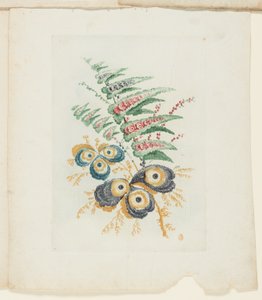 Blad, uit Nieuwe Suite van Notitieboekjes van Ideale Bloemen voor Gebruik door Tekenaar en Schilder door Anne Allen