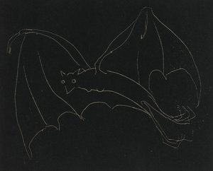 Nacht Serie: De Vleermuis