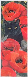 Zwarte Kat met Klaprozen