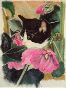 Kitten en stokrozen