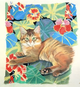 Sootsy en Dufy Stof