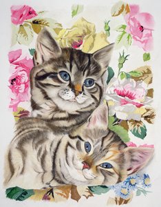 Twee kittens