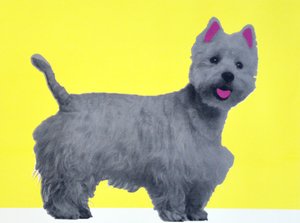 Bestie Westie door Anne Storno