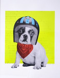 Easy Rider door Anne Storno