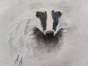 De blik van de grijze das door Annette Armitage