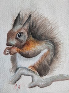 Achtige eekhoorn in aquarel door Annette Armitage