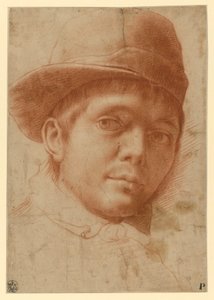  door Annibale Carracci