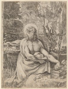 Sint Hiëronymus in de Wildernis