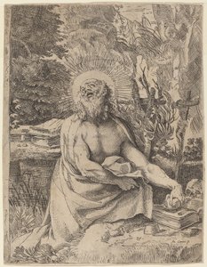 Sint Hiëronymus in de Wildernis