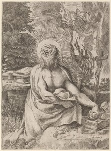 Sint-Hieronymus in de wildernis