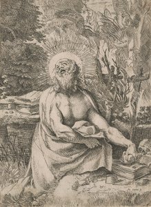 Sint Hiëronymus in de Wildernis