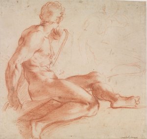 Sitzender männlicher Akt door Annibale Carracci
