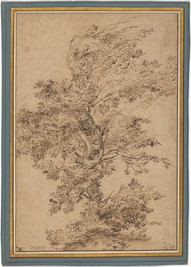 Studie eines Baumes door Annibale Carracci