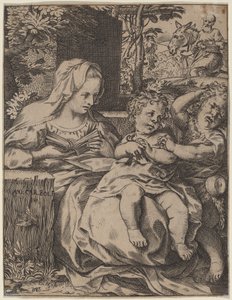 De Madonna van de Zwaluw door Annibale Carracci