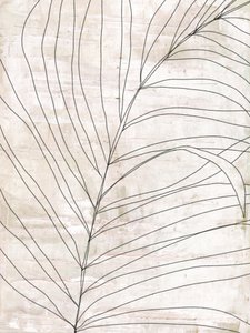 Minimalistische botanische lijnen