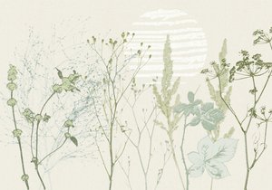 Ingetogen botanische zonsopgang door Annick