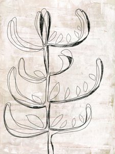Biologische botanische schets