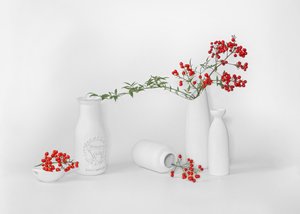 Minimalistische presentatie van rode bessen door Annie Poreider