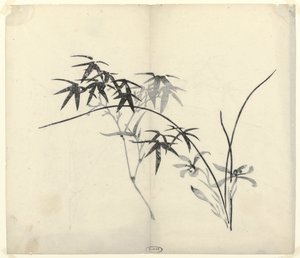 Bamboe en Orchideeën