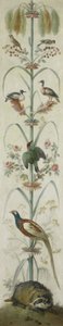 Decoratieve Afbeelding met Planten en Dieren