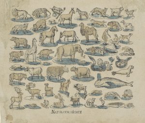 Dieren Naturgeschichte door Anonymous
