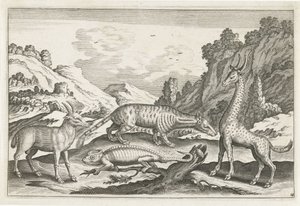 Exotische dieren