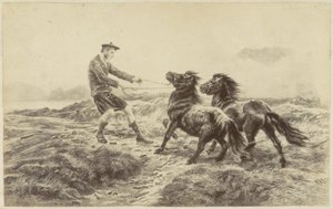 Schotse man met twee pony