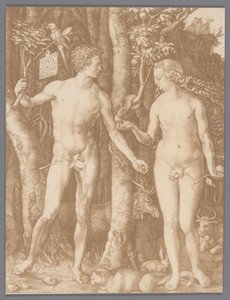 Adam en Eva door Albrecht Dürer door Anonymous