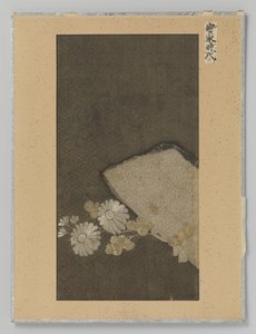 Fragment textiel