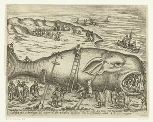 Gestrande walvis bij Berckhey, 1598 door Anonymous