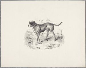 Hond aan een ketting (Zes kleine dierenstudies) door Anonymous