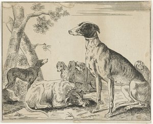 Hondenkennel door Anonymous