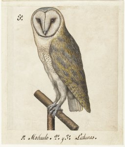 Kerkuil (Lombard album) door Anonymous