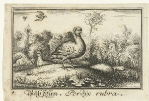 Landschap met patrijzen door Anonymous