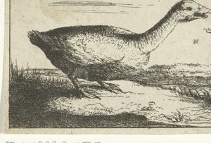 Landschap met wilde gans door Anonymous