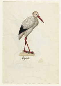 Ooievaar (Lombard album)