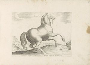 Paard uit Frankrijk