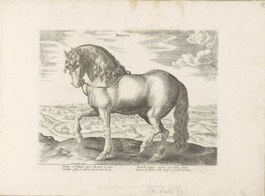 Paard uit Friesland door Anonymous